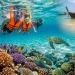 Koh Tao Snorkeling FAQ infographic summary covering best spots, cost, best season, and safety tips.