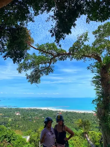 VIEW